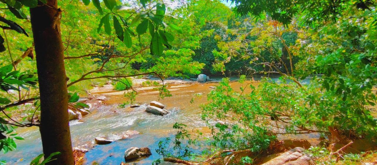 Casa Kumake Tayrona Βίλα El Zaino Εξωτερικό φωτογραφία