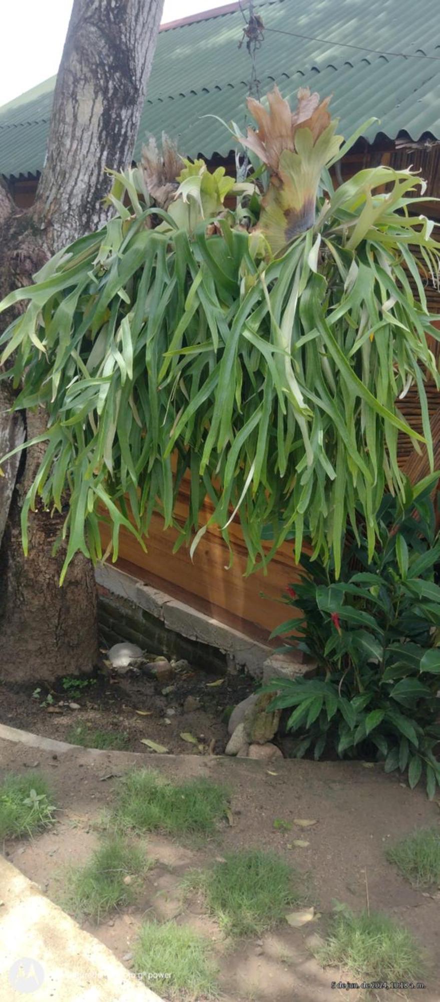 Casa Kumake Tayrona Βίλα El Zaino Εξωτερικό φωτογραφία