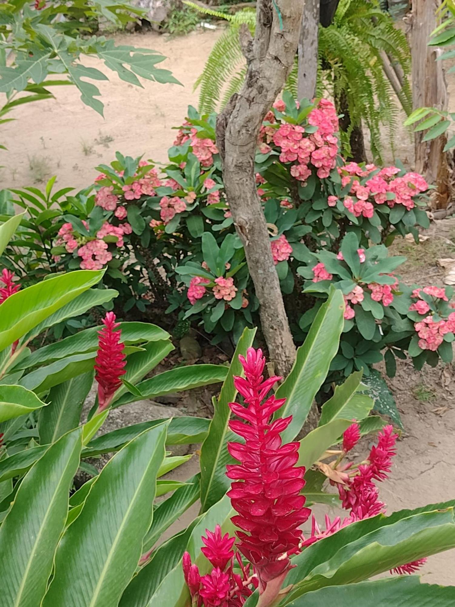 Casa Kumake Tayrona Βίλα El Zaino Εξωτερικό φωτογραφία