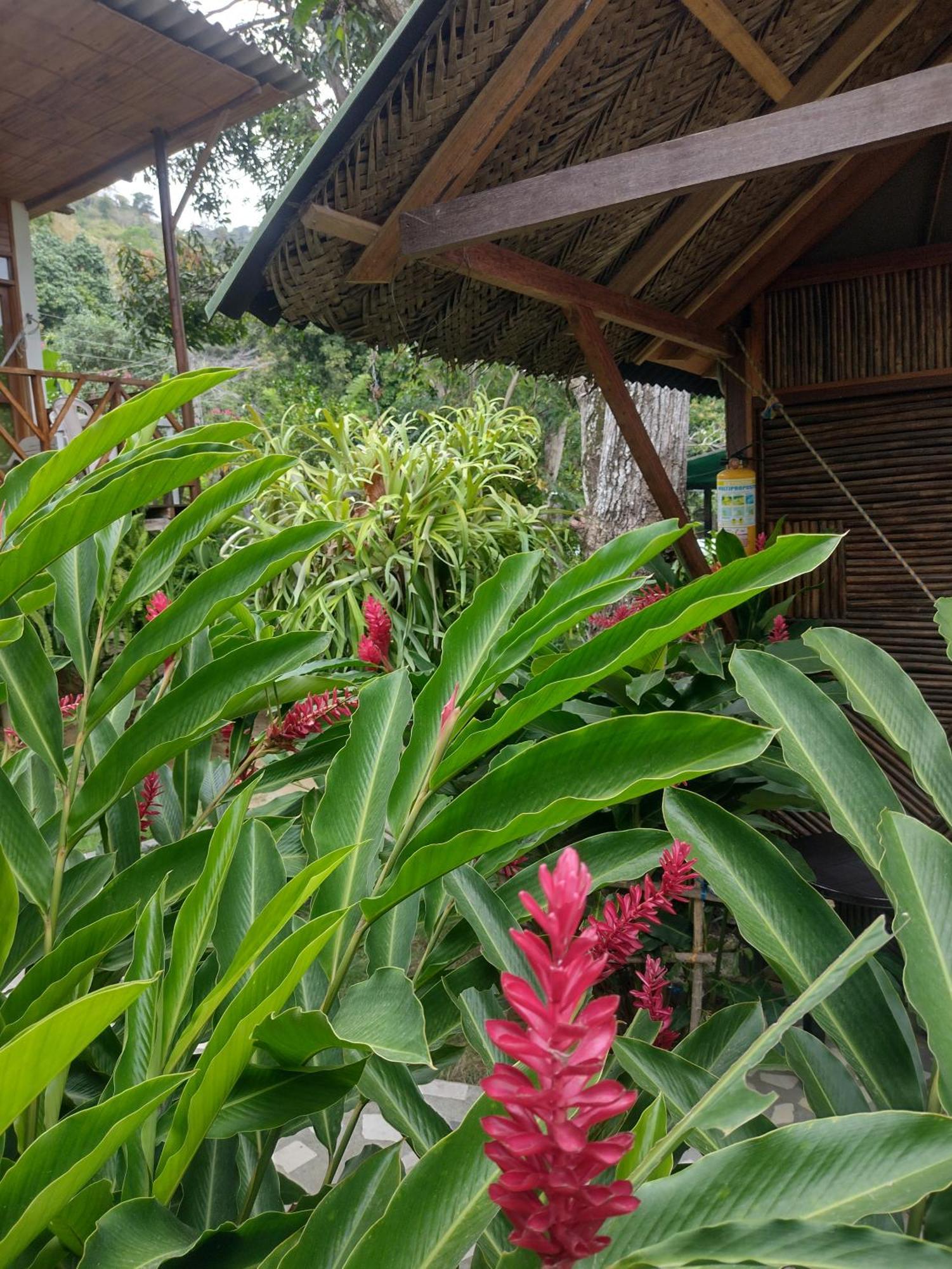 Casa Kumake Tayrona Βίλα El Zaino Εξωτερικό φωτογραφία