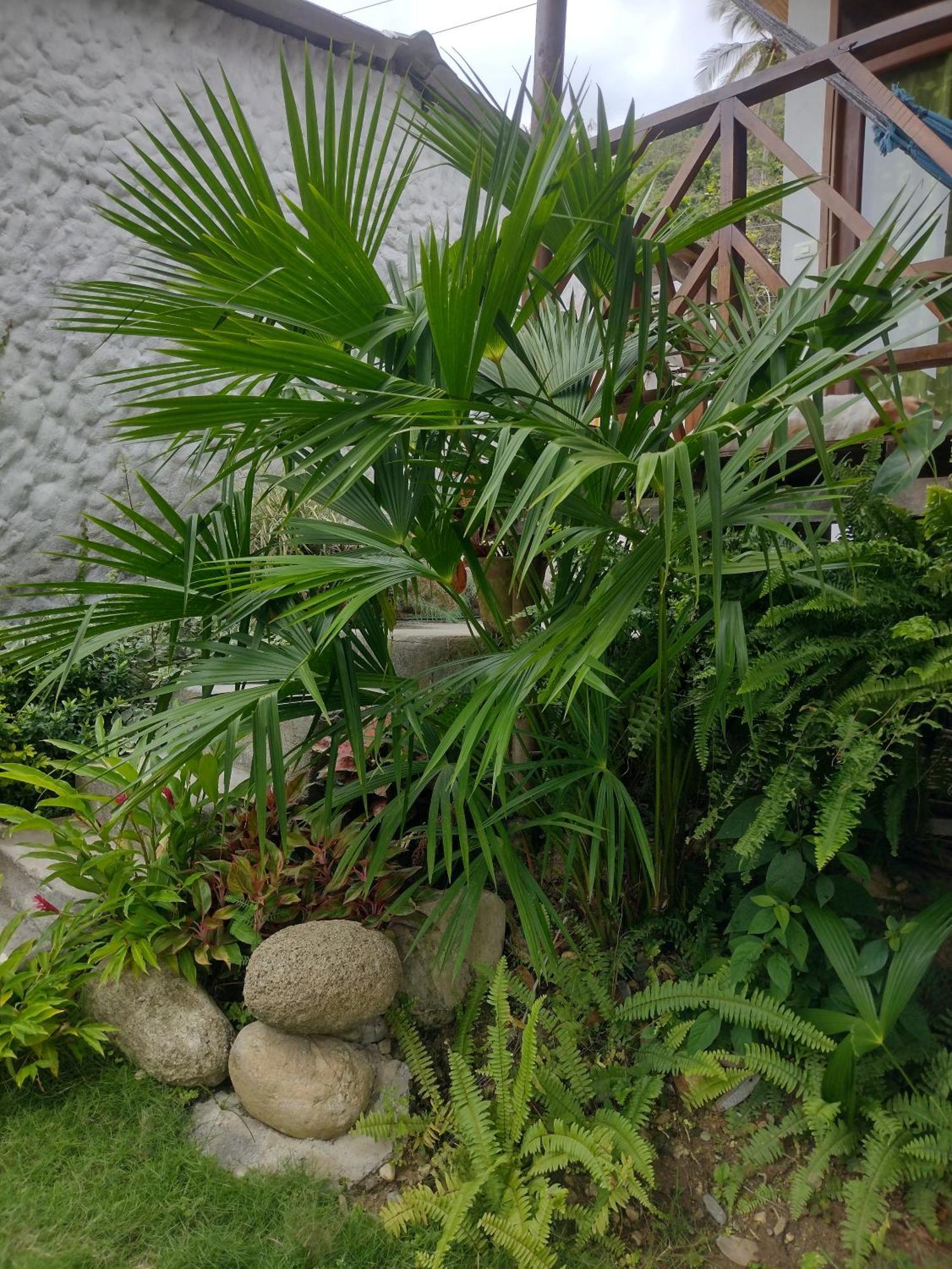 Casa Kumake Tayrona Βίλα El Zaino Εξωτερικό φωτογραφία